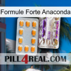 Anaconda Strong Formula new12